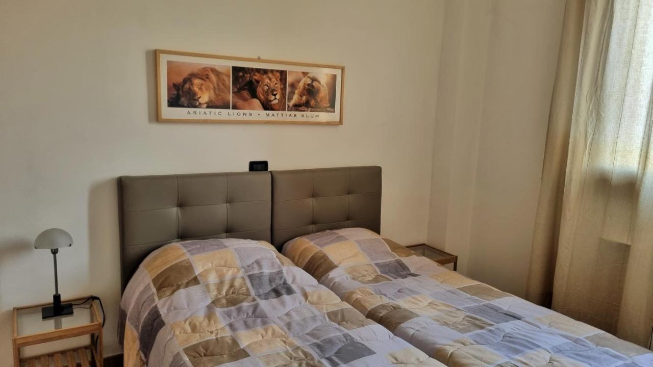 Appartamento Spazioso Le Vitterelle B&B 佐卡 外观 照片